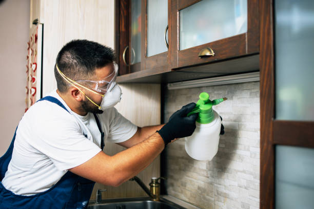 Best Pest Control for Homes  in Beverly Hills, FL