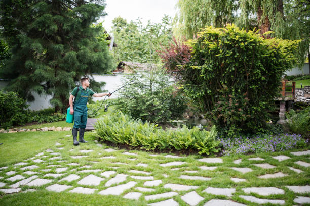 Best Residential Pest Control  in Beverly Hills, FL