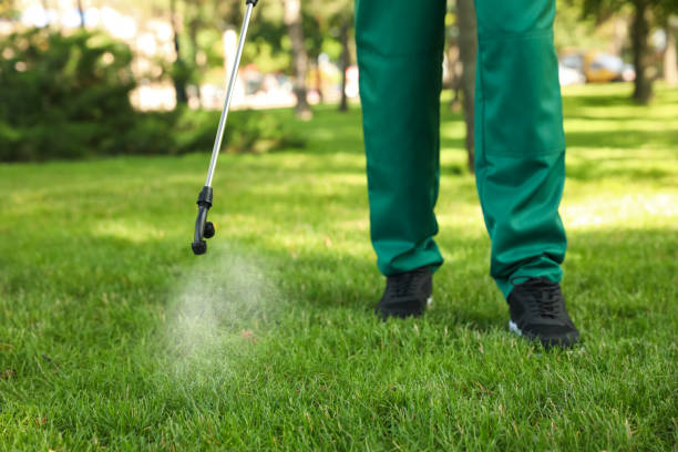 Best Local Pest Control Services  in Beverly Hills, FL