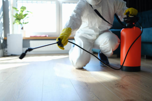Best Wasp Removal Services  in Beverly Hills, FL
