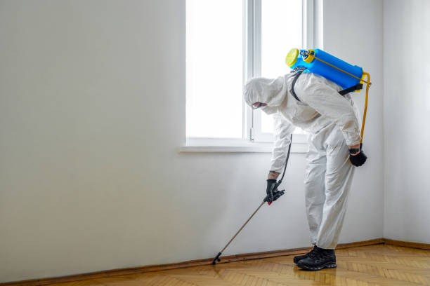 Best Cockroach Control Services  in Beverly Hills, FL