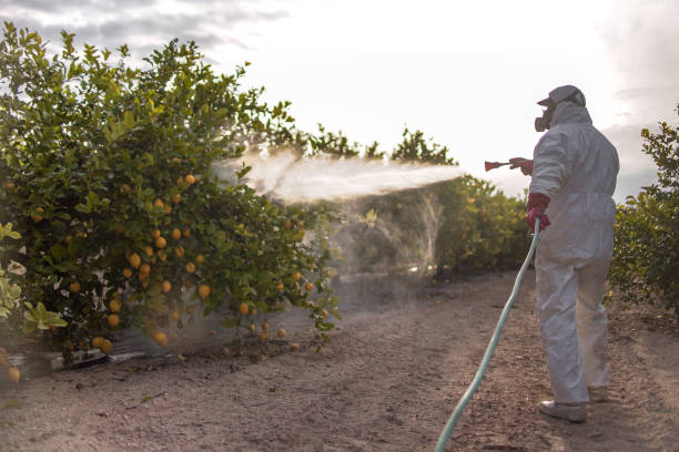 Trusted Beverly Hills, FL Pest Control Experts