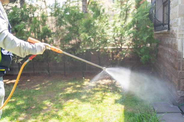 Best Affordable Pest Control Services  in Beverly Hills, FL