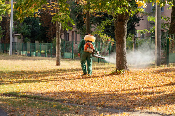 Best Pest Control Near Me  in Beverly Hills, FL