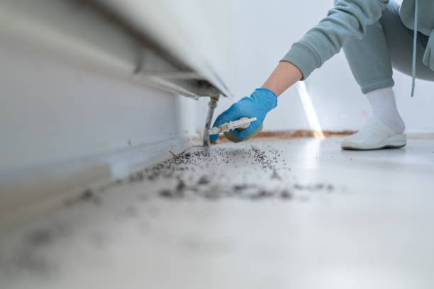 Best Emergency Pest Control  in Beverly Hills, FL